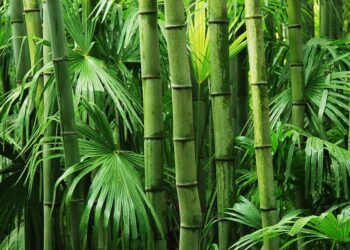 Sustainable Materials Turn Waste into A Valuable Resource