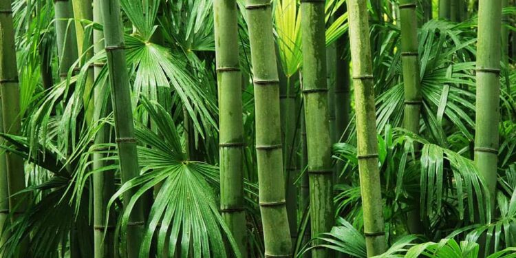 Sustainable Materials Turn Waste into A Valuable Resource